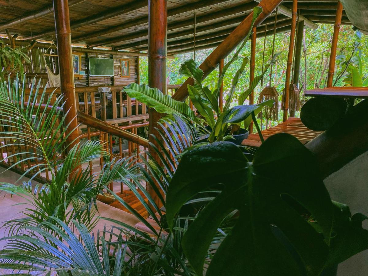Cinnamon House Mindo Exterior foto