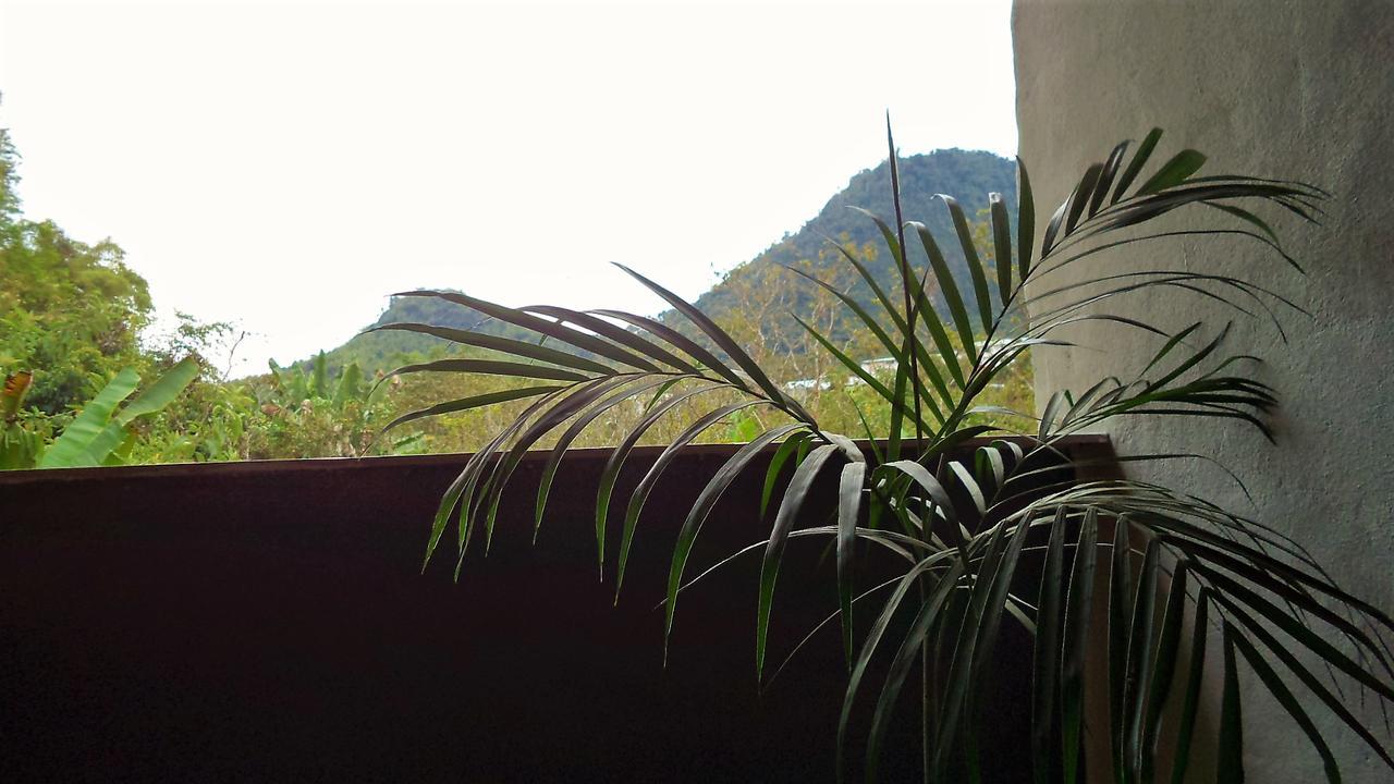 Cinnamon House Mindo Exterior foto